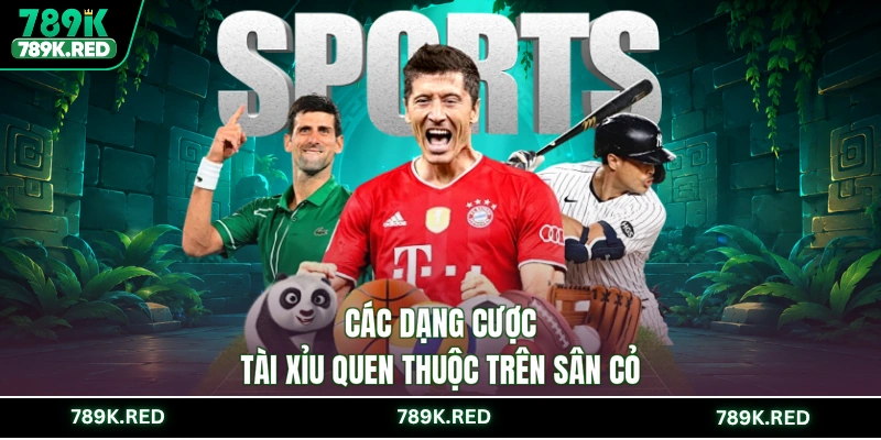 Các dạng cược tài xỉu quen thuộc trên sân cỏ