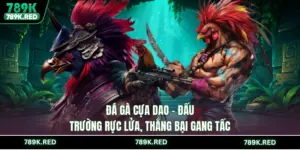 Đá Gà Cựa Dao - Đấu Trường Rực Lửa, Thắng Bại Gang Tấc