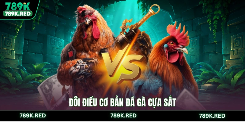 Đôi điều cơ bản đá gà cựa sắt