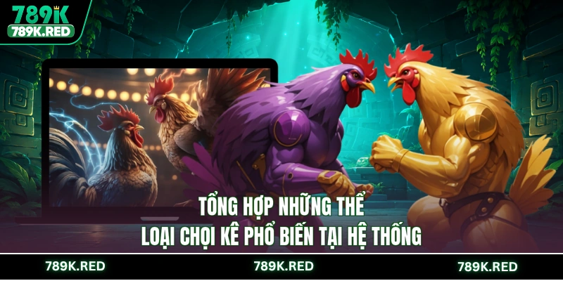 Tổng hợp những thể loại chọi kê phổ biến tại hệ thống